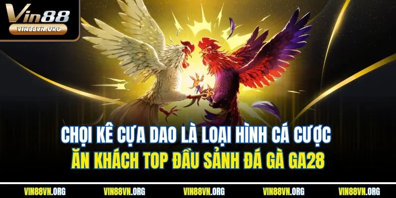 Chọi kê cựa dao là loại hình cá cược ăn khách top đầu sảnh đá gà GA28