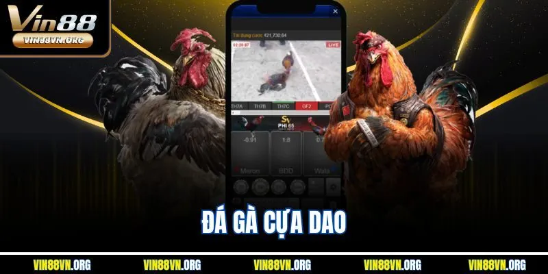 Đá Gà Cựa Dao Vin88 Mang Lại Cơ Hội Kiếm Tiền Mỗi Ngày