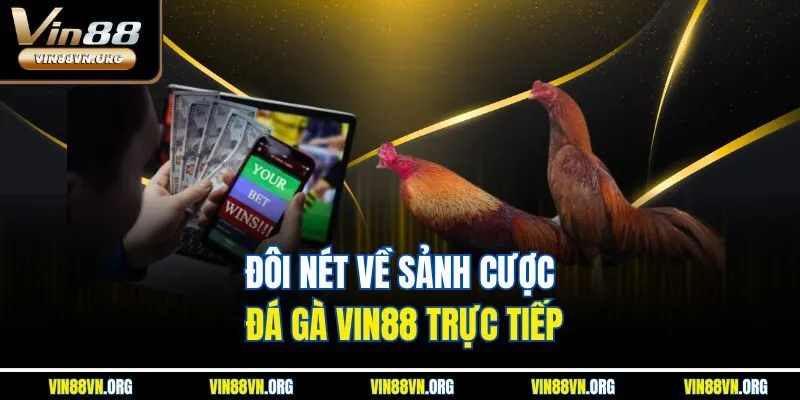 Đôi nét về sảnh cược đá gà Vin88 trực tiếp