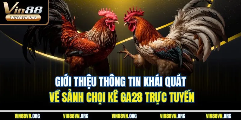 Giới thiệu thông tin khái quát về sảnh chọi kê GA28 trực tuyến