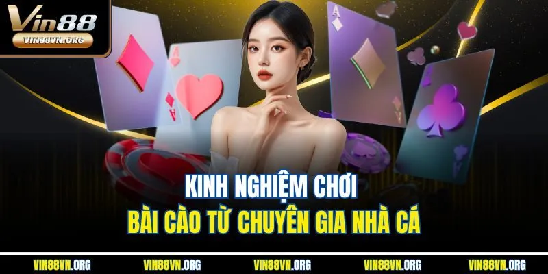 Kinh nghiệm chơi Bài Cào từ chuyên gia nhà cái