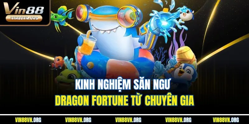 Kinh nghiệm săn ngư Dragon Fortune từ chuyên gia