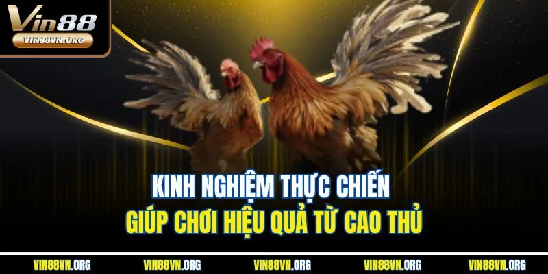Kinh nghiệm thực chiến giúp chơi hiệu quả từ cao thủ