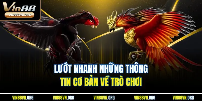Lướt nhanh những thông tin cơ bản về trò chơi