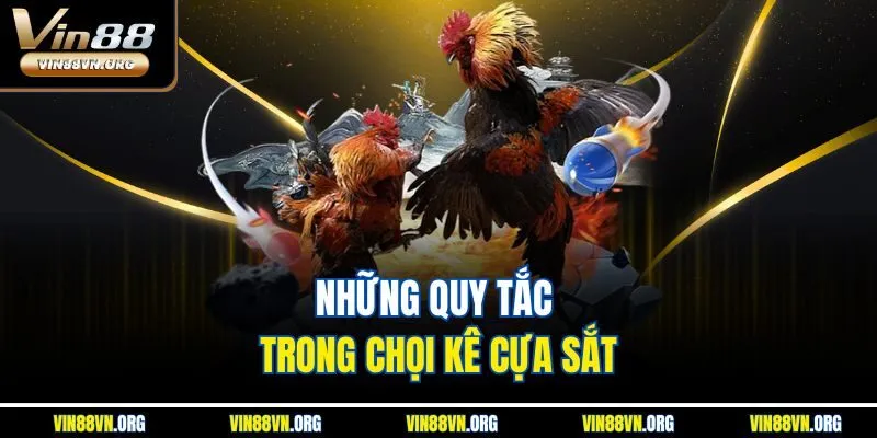 Những quy tắc trong chọi kê cựa sắt