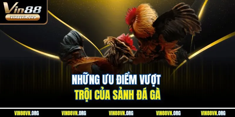 Những ưu điểm vượt trội của sảnh đá gà
