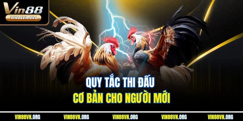 Quy tắc thi đấu cơ bản cho người mới
