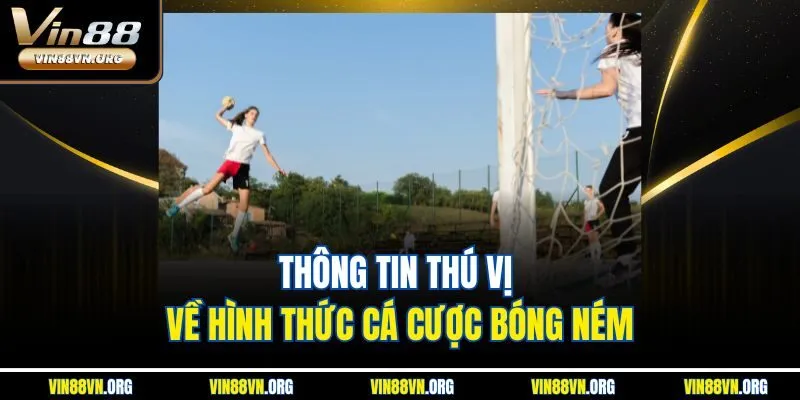 Thông tin thú vị về hình thức cá cược bóng ném