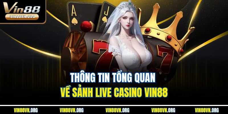 Thông tin tổng quan về sảnh live casino VIN88