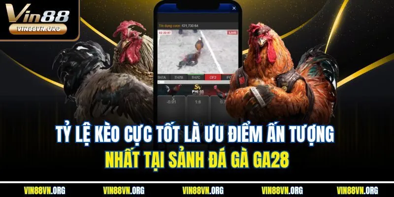 Tỷ lệ kèo cực tốt là ưu điểm ấn tượng nhất tại sảnh sảnh đá gà GA28
